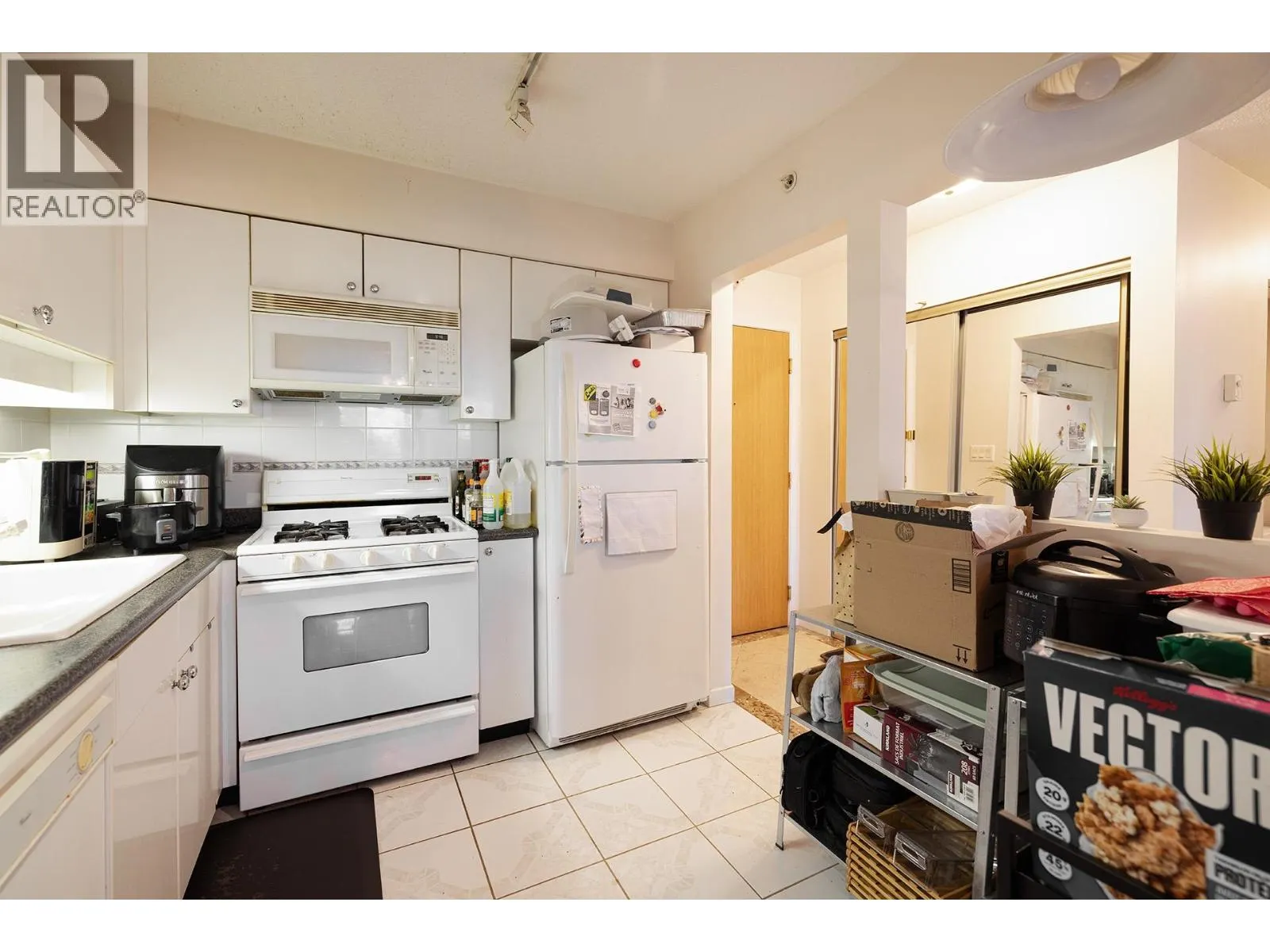 5xx 8238 SABA ROAD