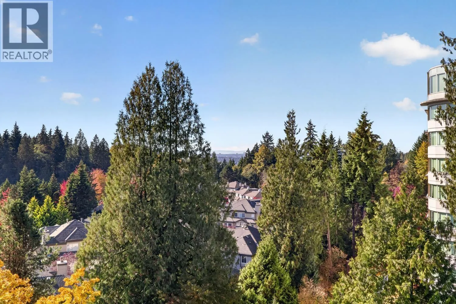903 995 ROCHE POINT DRIVE