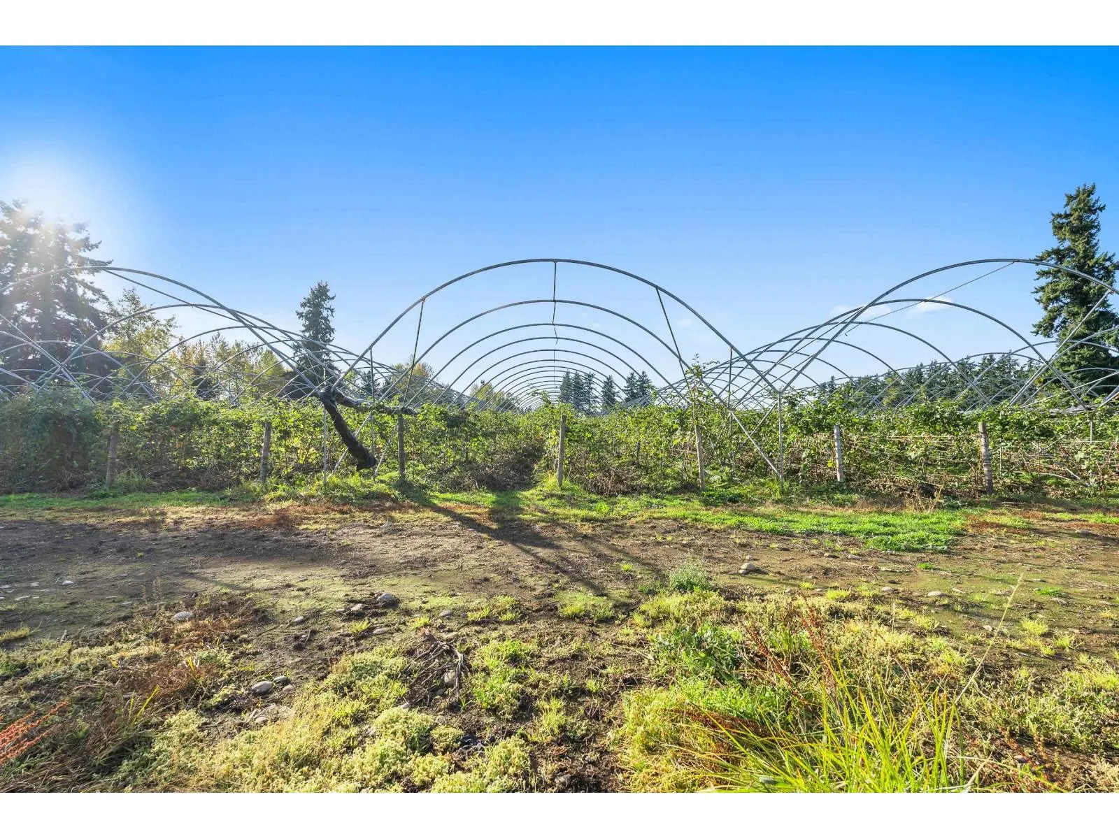 1415 CLEARBROOK ROAD