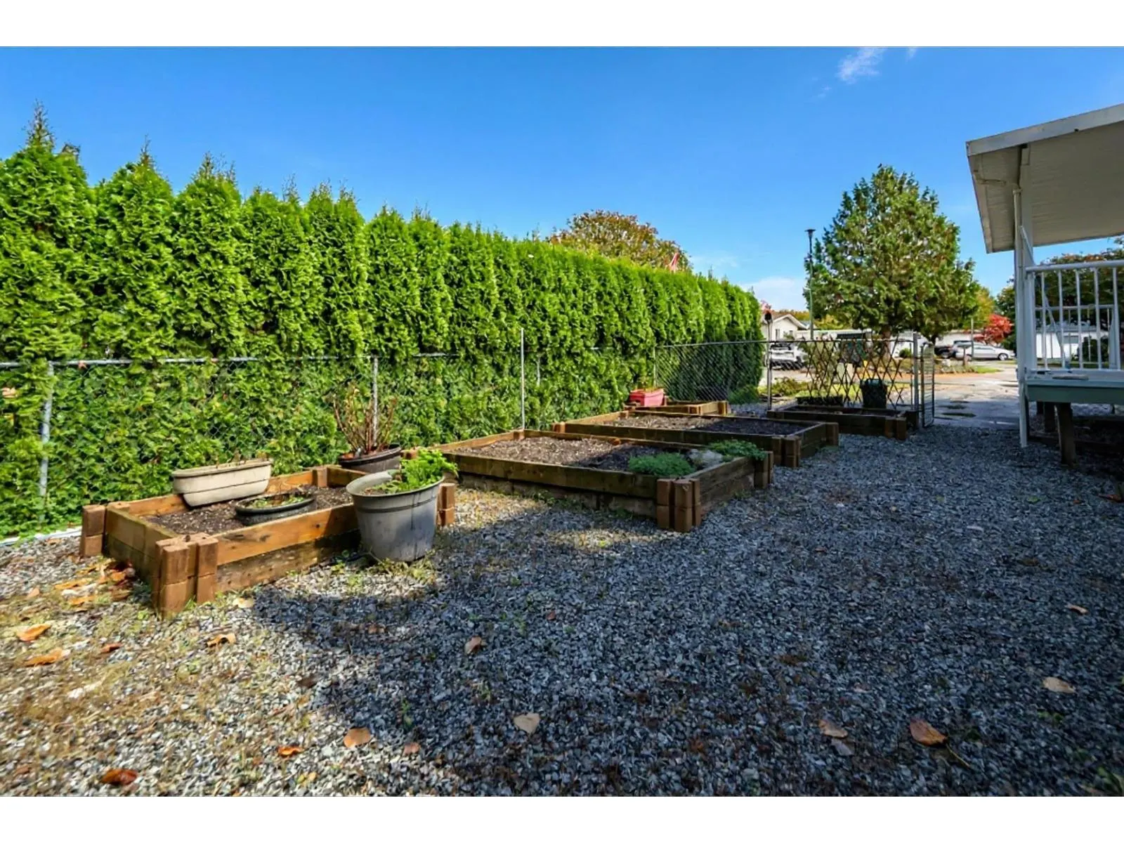 16 41168 LOUGHEED HIGHWAY