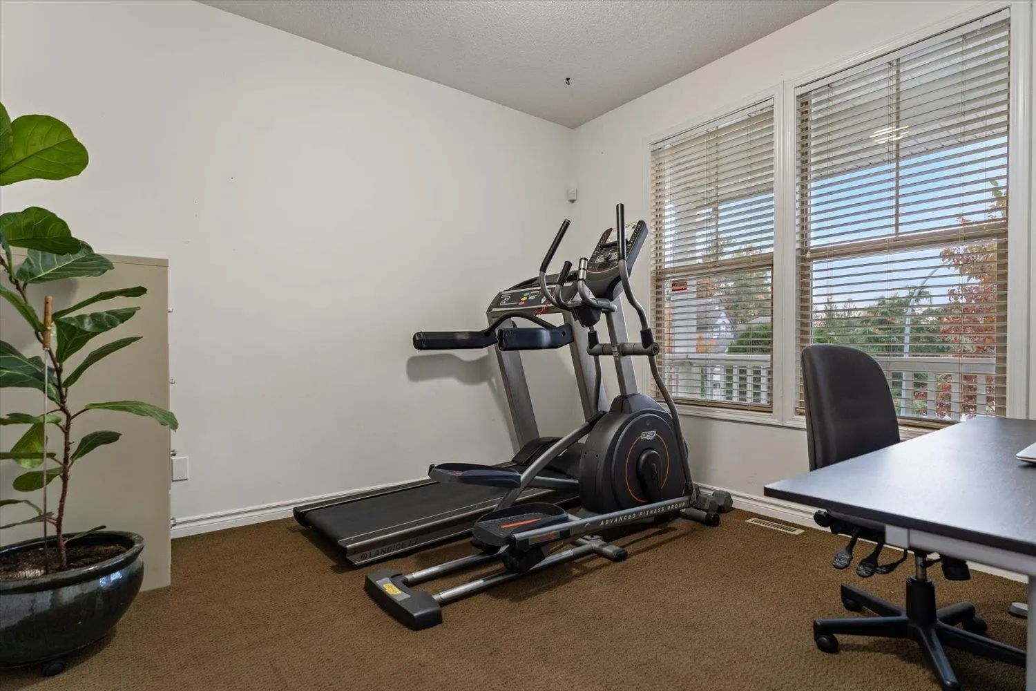 50934 FORD CREEK PLACE|Eastern Hillsides