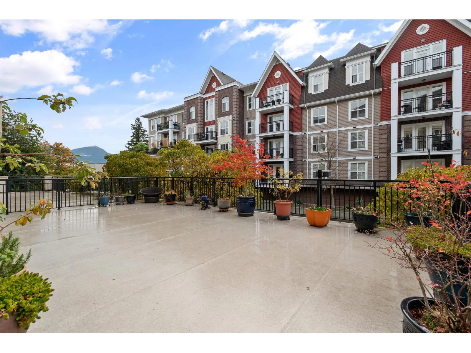 103 8955 EDWARD STREET|Chilliwack Proper West