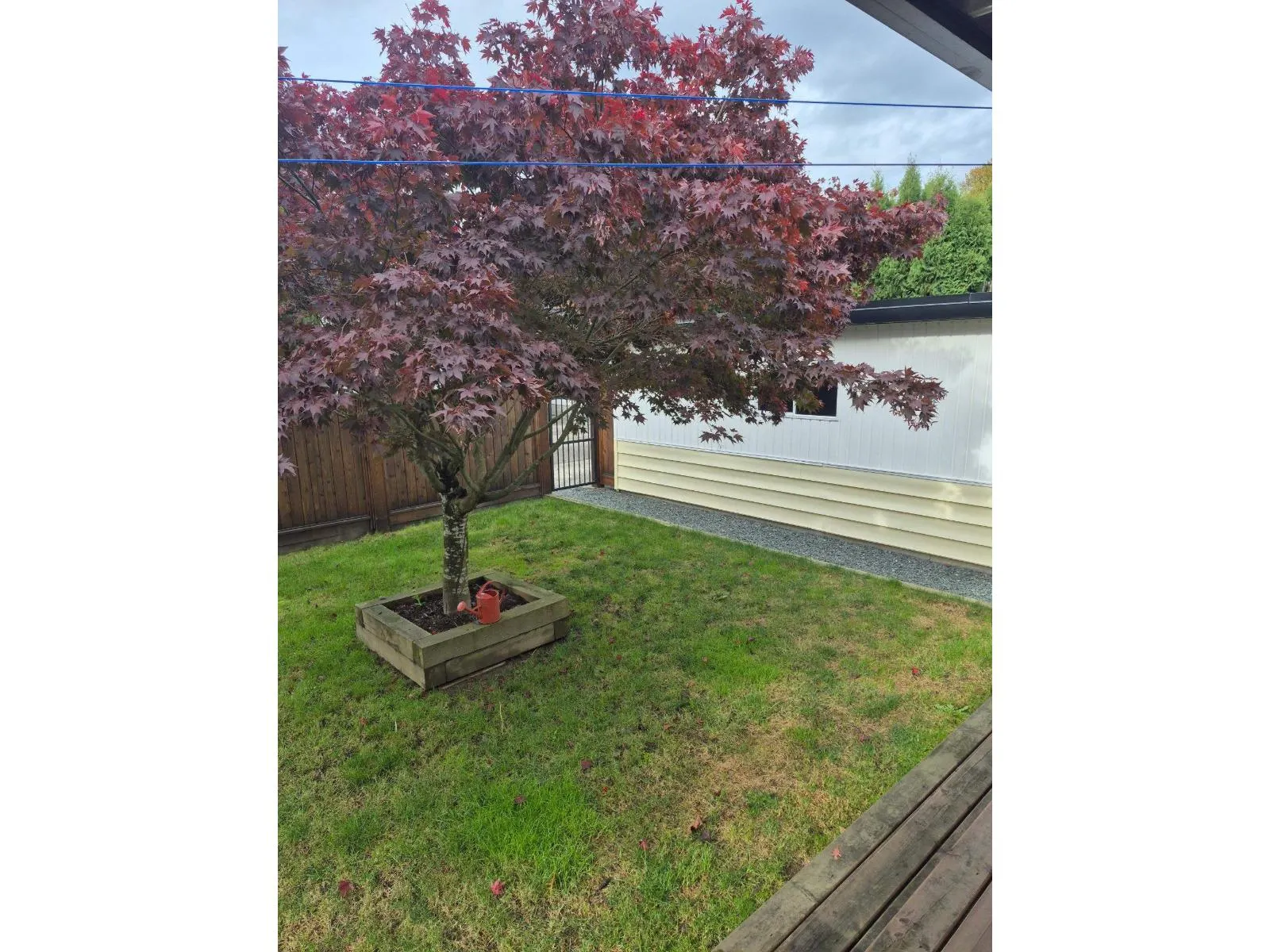 9813 BARBER DRIVE|Chilliwack Proper West