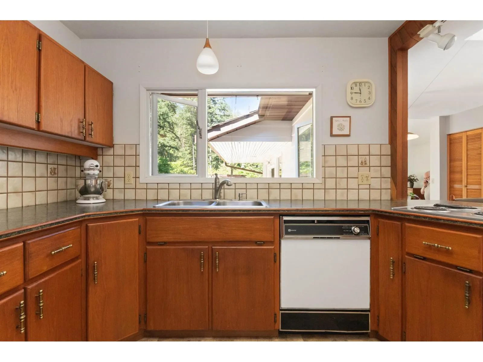 19899 SILVERHOPE ROAD|Hope