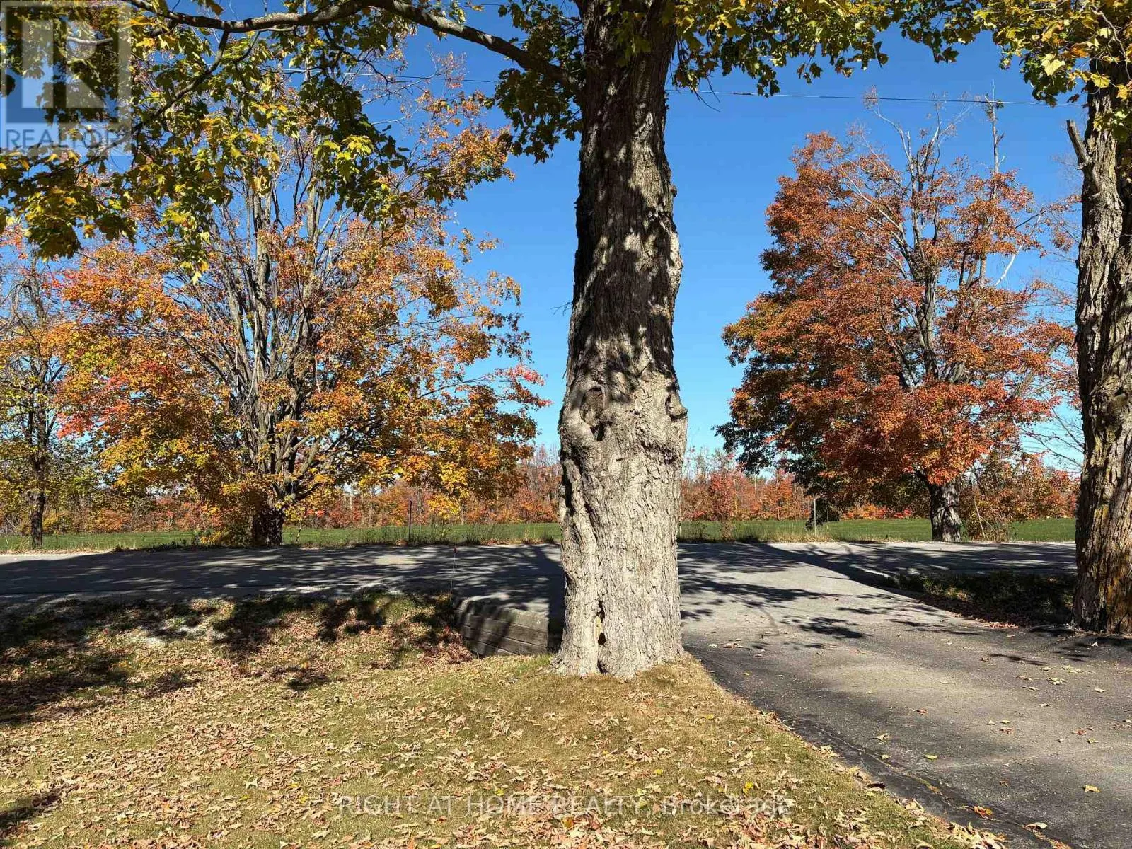 978 15/16 SIDE ROAD E