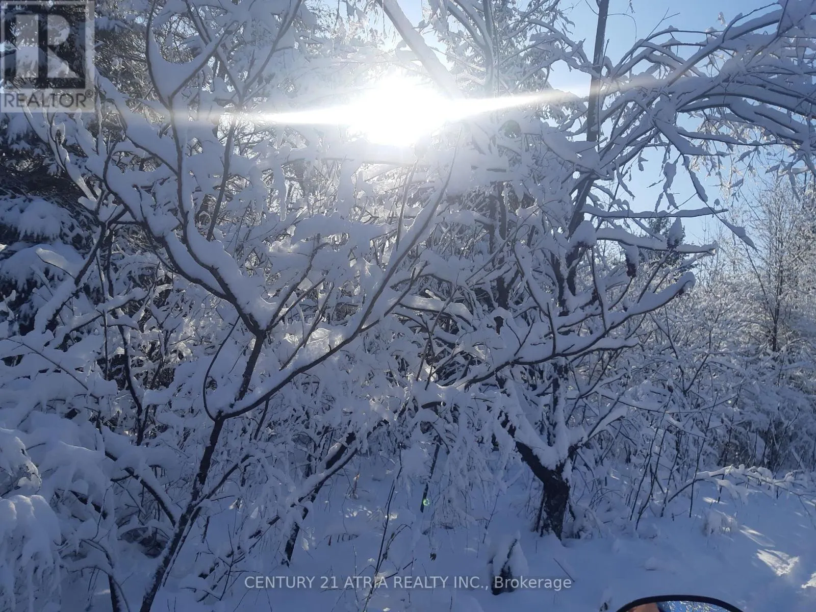 24 - 4 PARADISE BOULEVARD