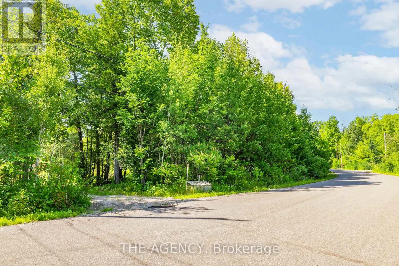 466 SILVER BIRCH DRIVE
