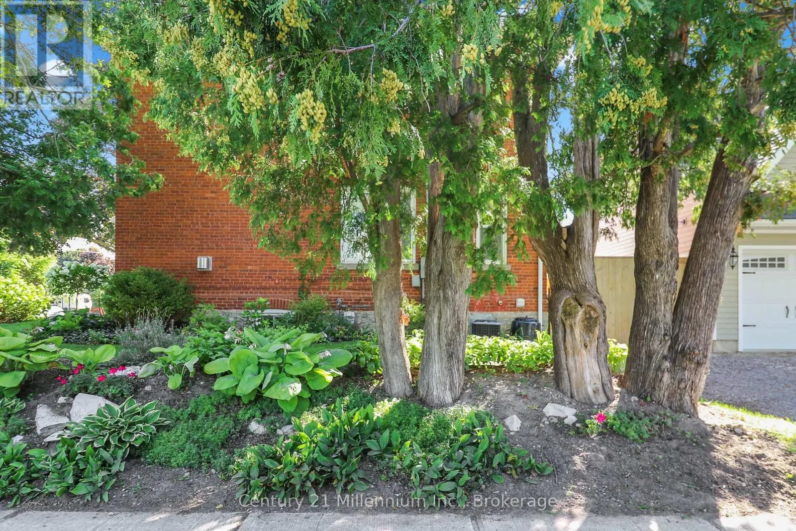 439 BIRCH STREET