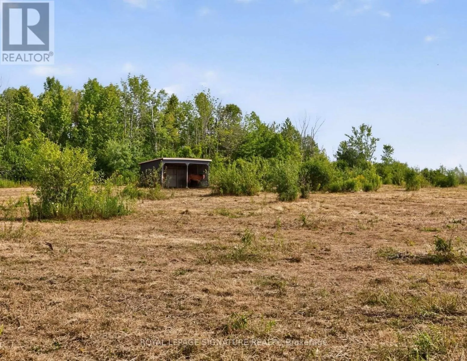 1152 CONCESSION ROAD