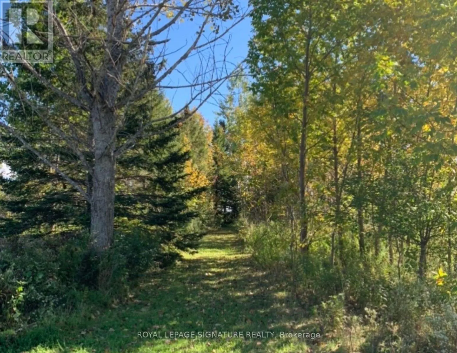1152 CONCESSION ROAD