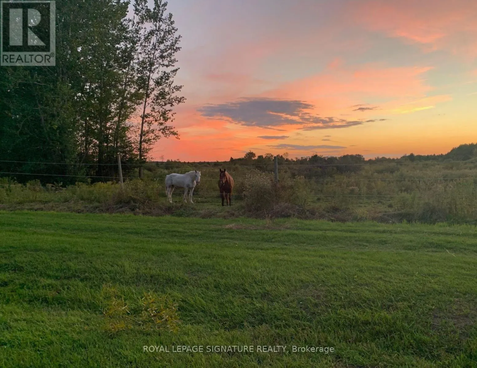 1152 CONCESSION ROAD