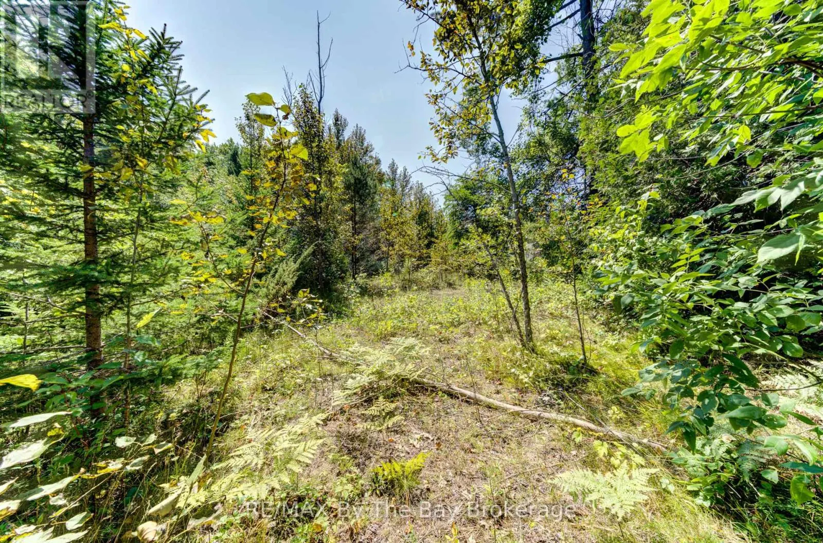 LOT 55 55TH STREET S