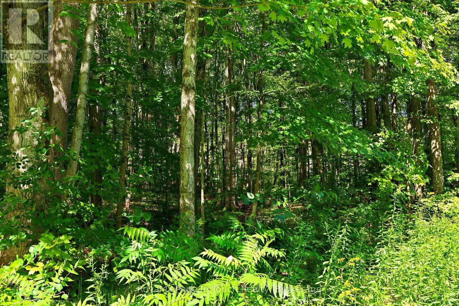 LOT 52 COPELAND CREEK DRIVE