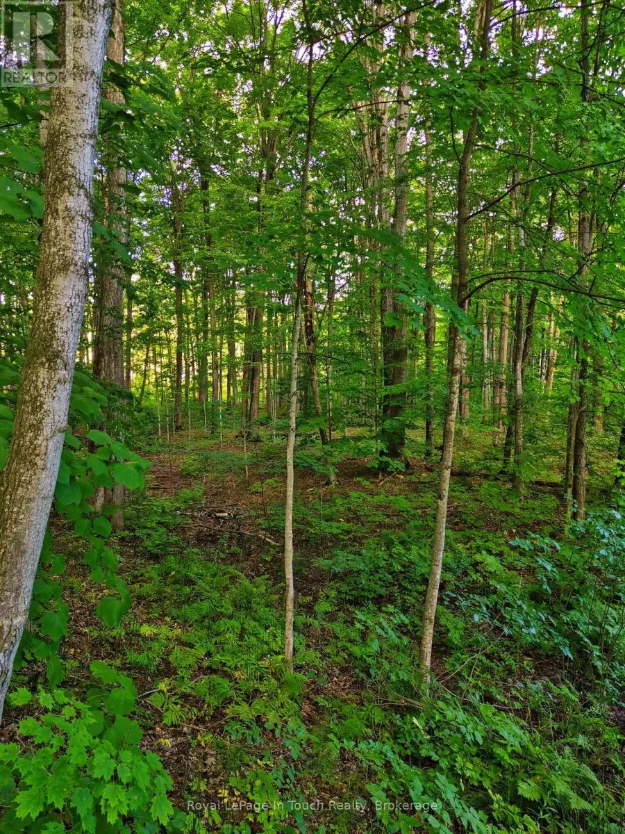 LOT 52 COPELAND CREEK DRIVE