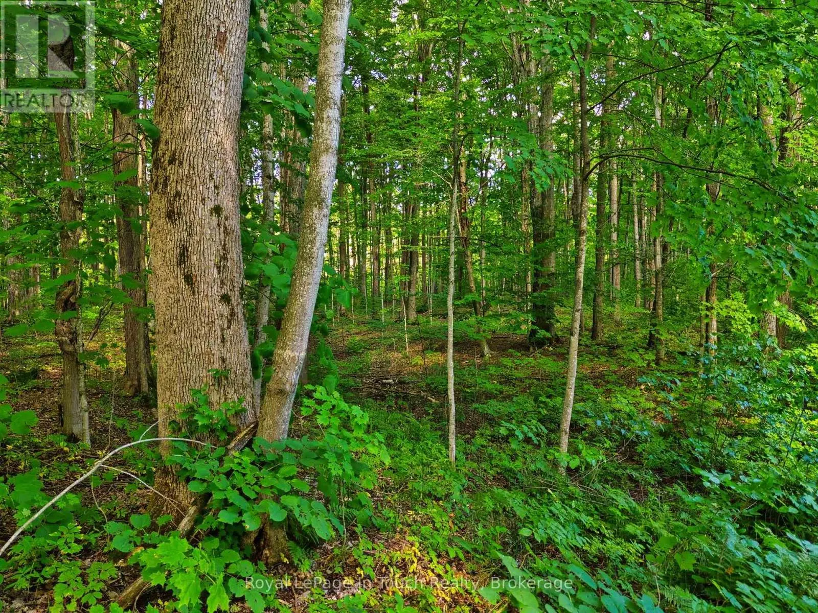 LOT 52 COPELAND CREEK DRIVE