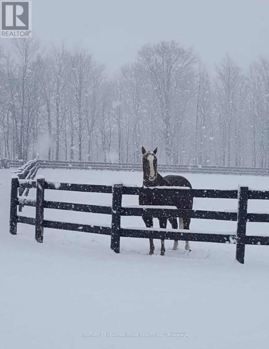 43 THOROUGHBRED DRIVE