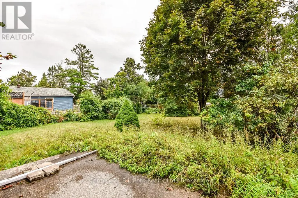 377 BARRIE ROAD