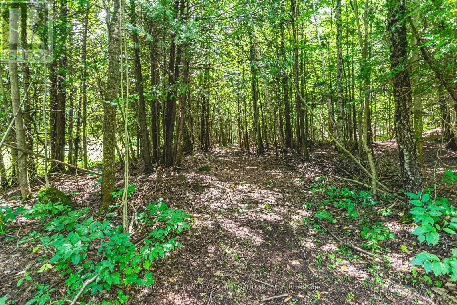 8275 COUNTY RD 9