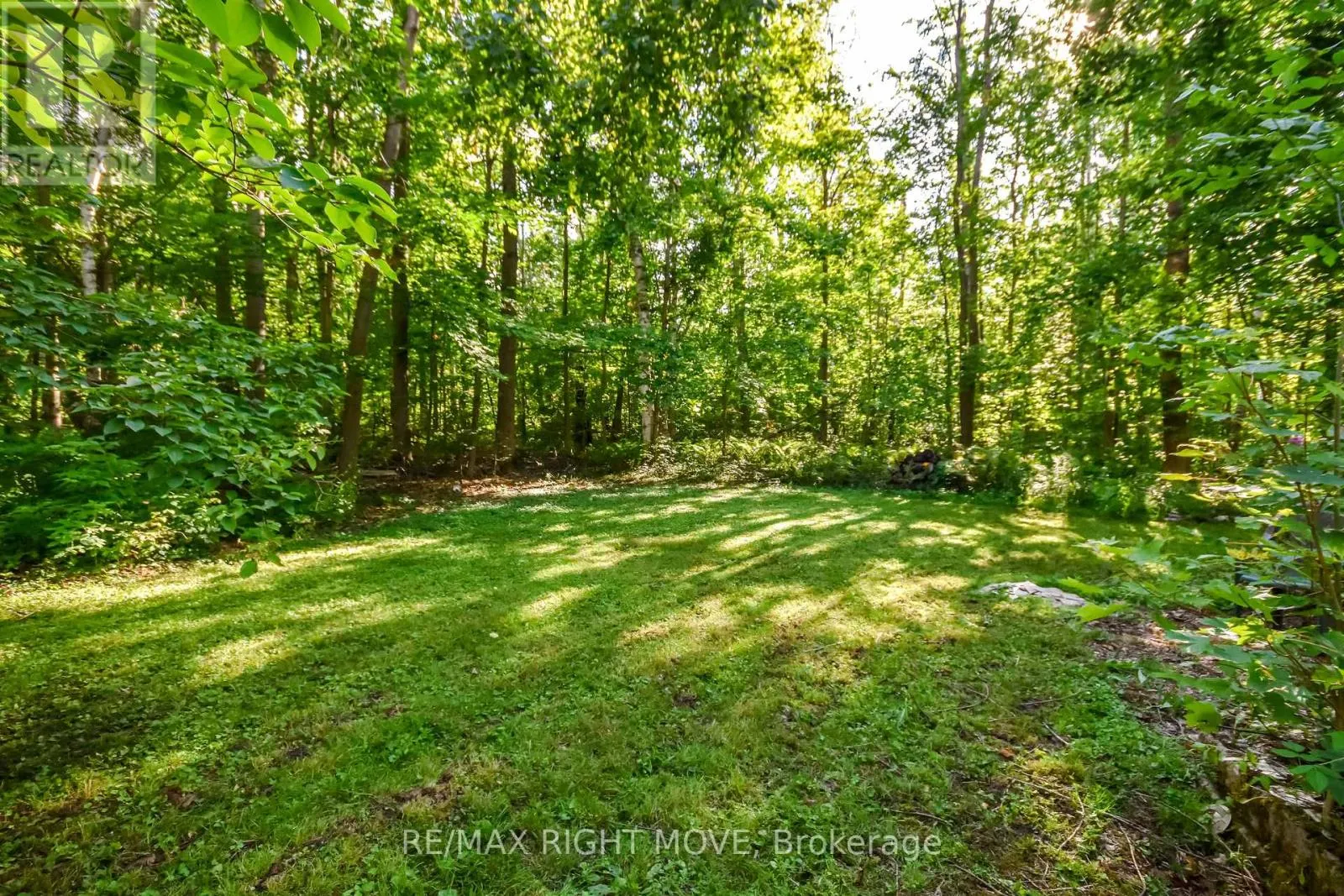1781 MT. ST. LOUIS ROAD E