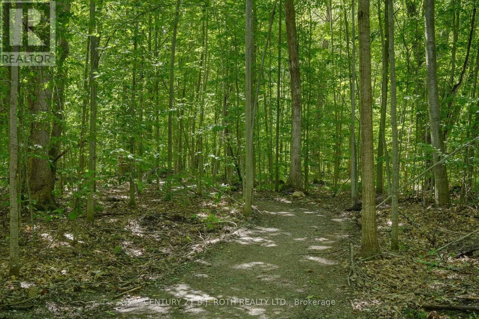 1250 COUNTY ROAD 6 ROAD S