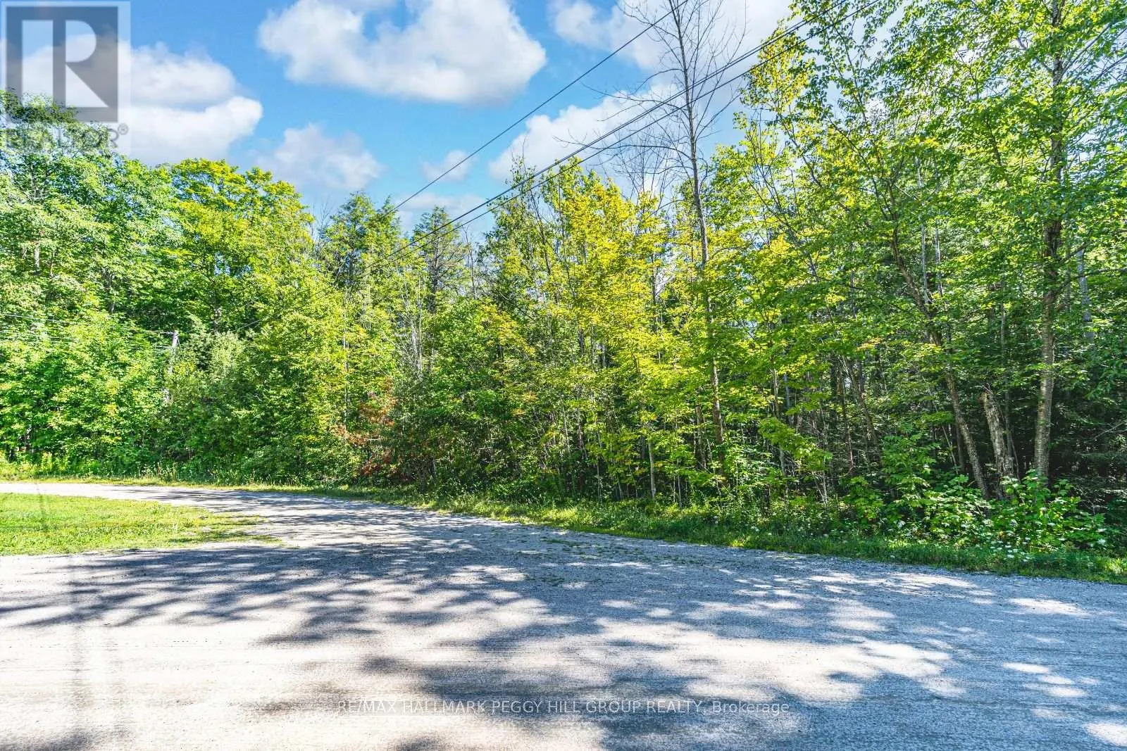 38 LASALLE TRAIL