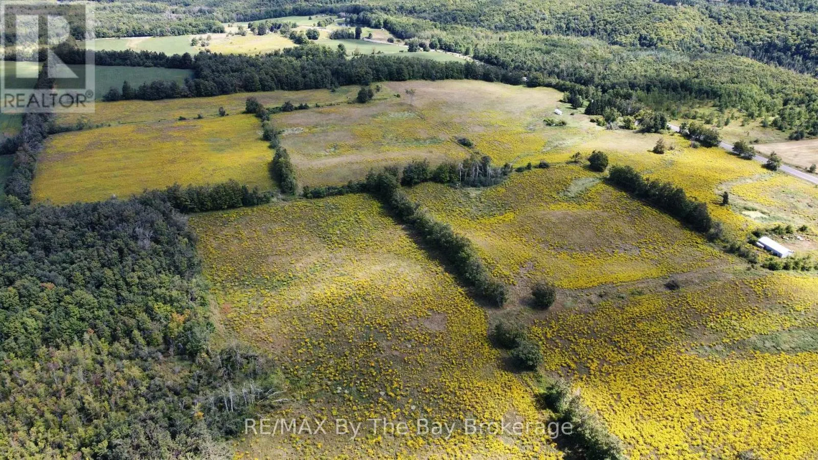 9878 COUNTY ROAD 9 ACRES