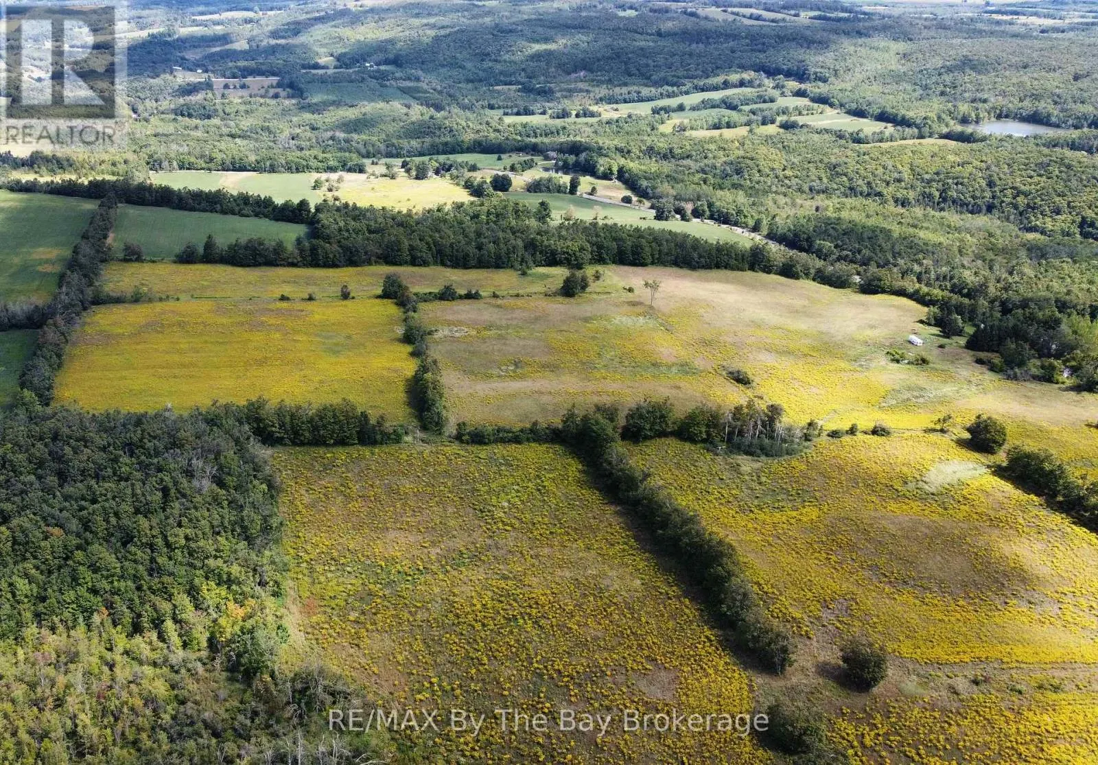 9878 COUNTY ROAD 9 ACRES