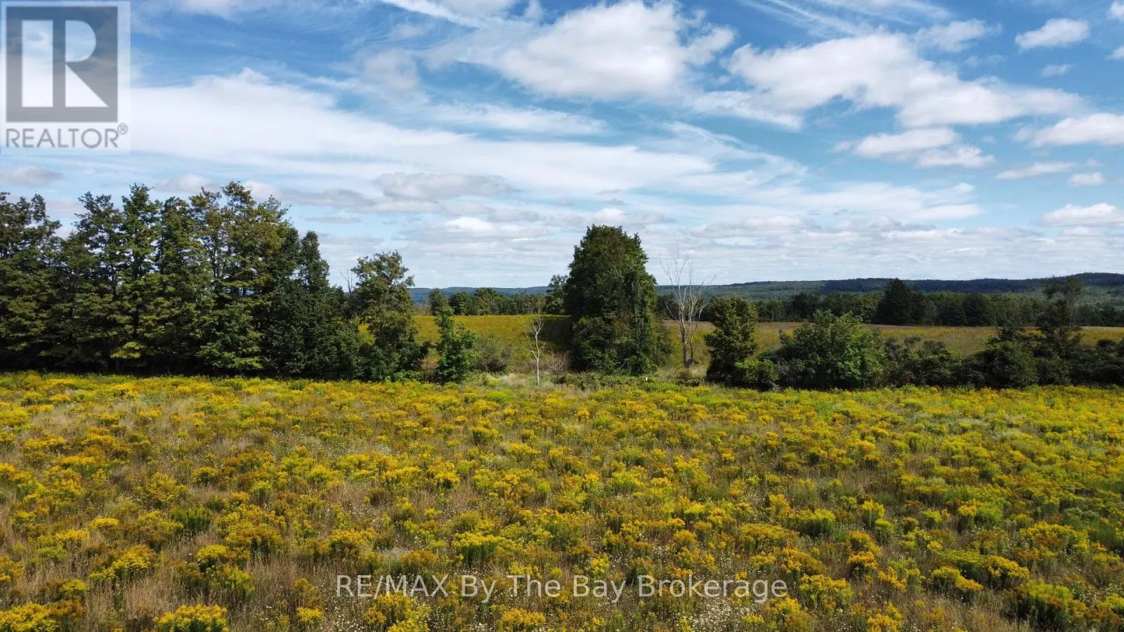 9878 COUNTY ROAD 9 ACRES