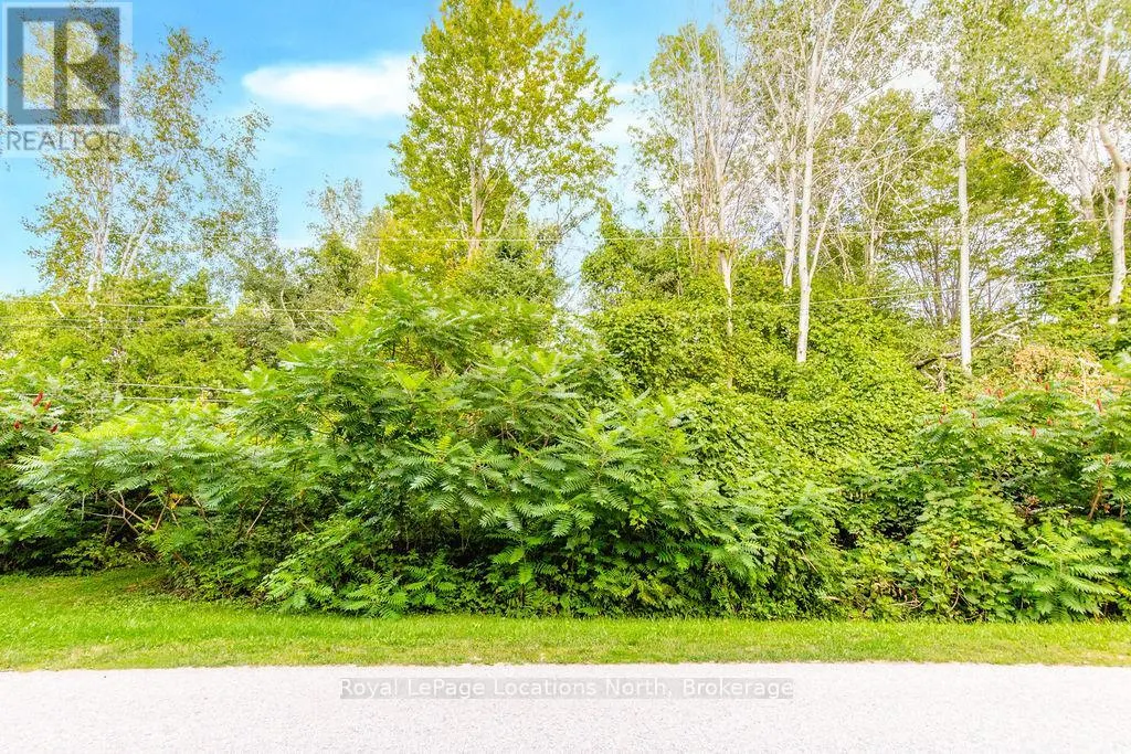 81 39TH STREET N
