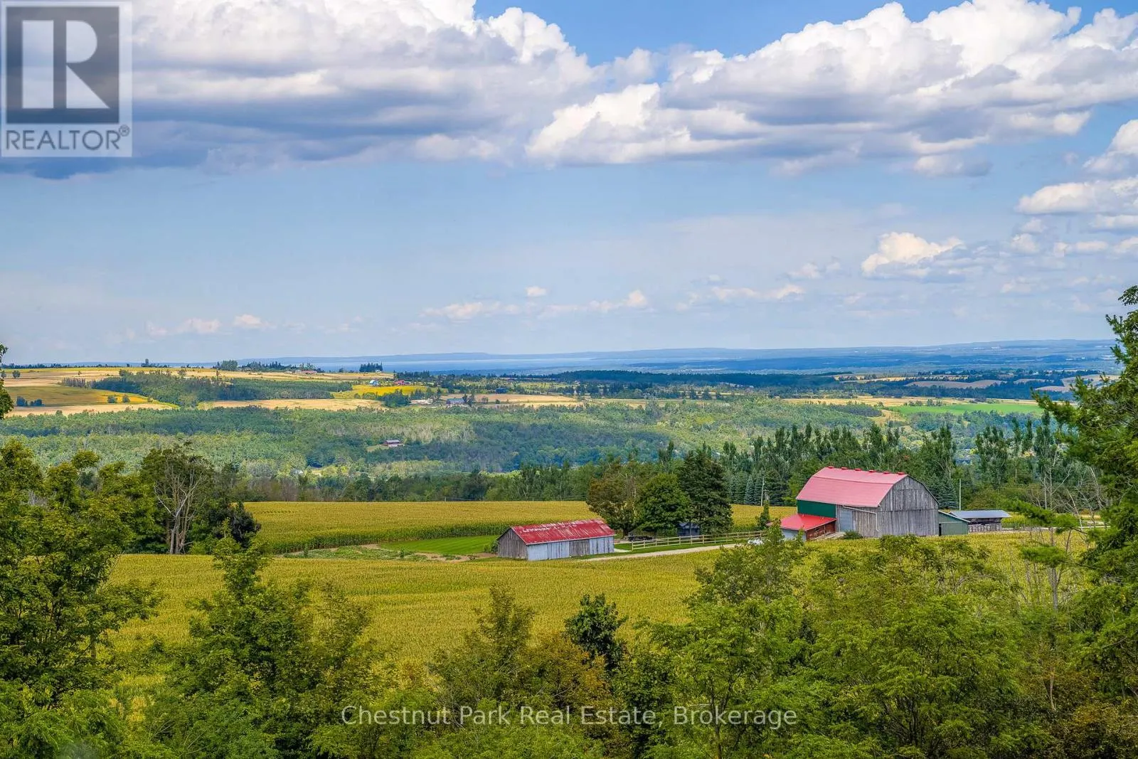 3390 CONCESSION 5 S NOTTAWASAGA