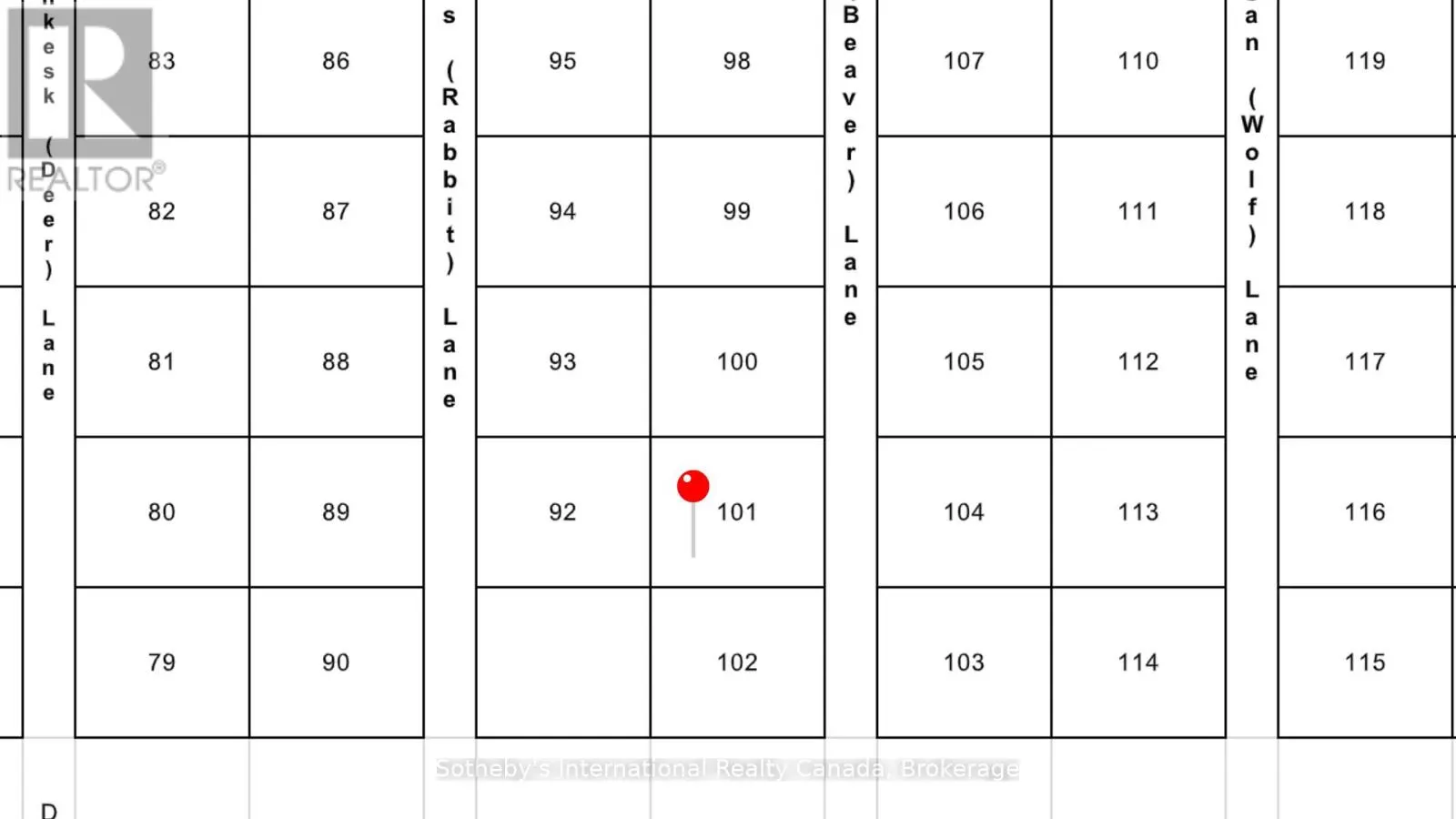 LOT 101 AMIK LANE