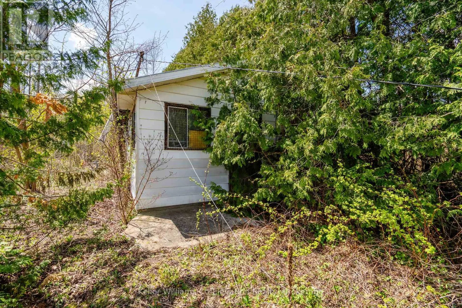12824 COUNTY ROAD 16 ROAD