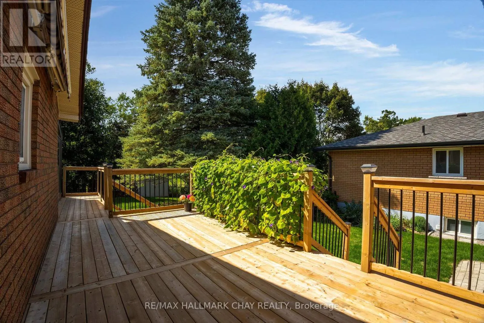 19 ALGONQUIN TRAIL