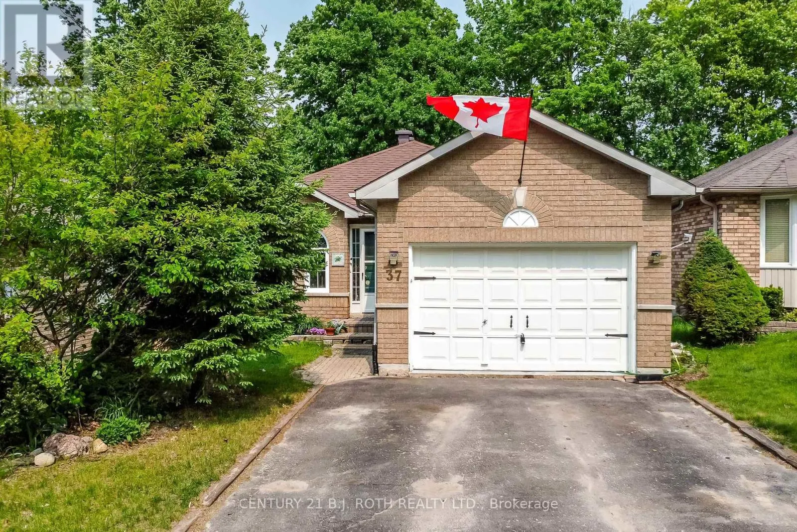 37 NICHOLSON DRIVE