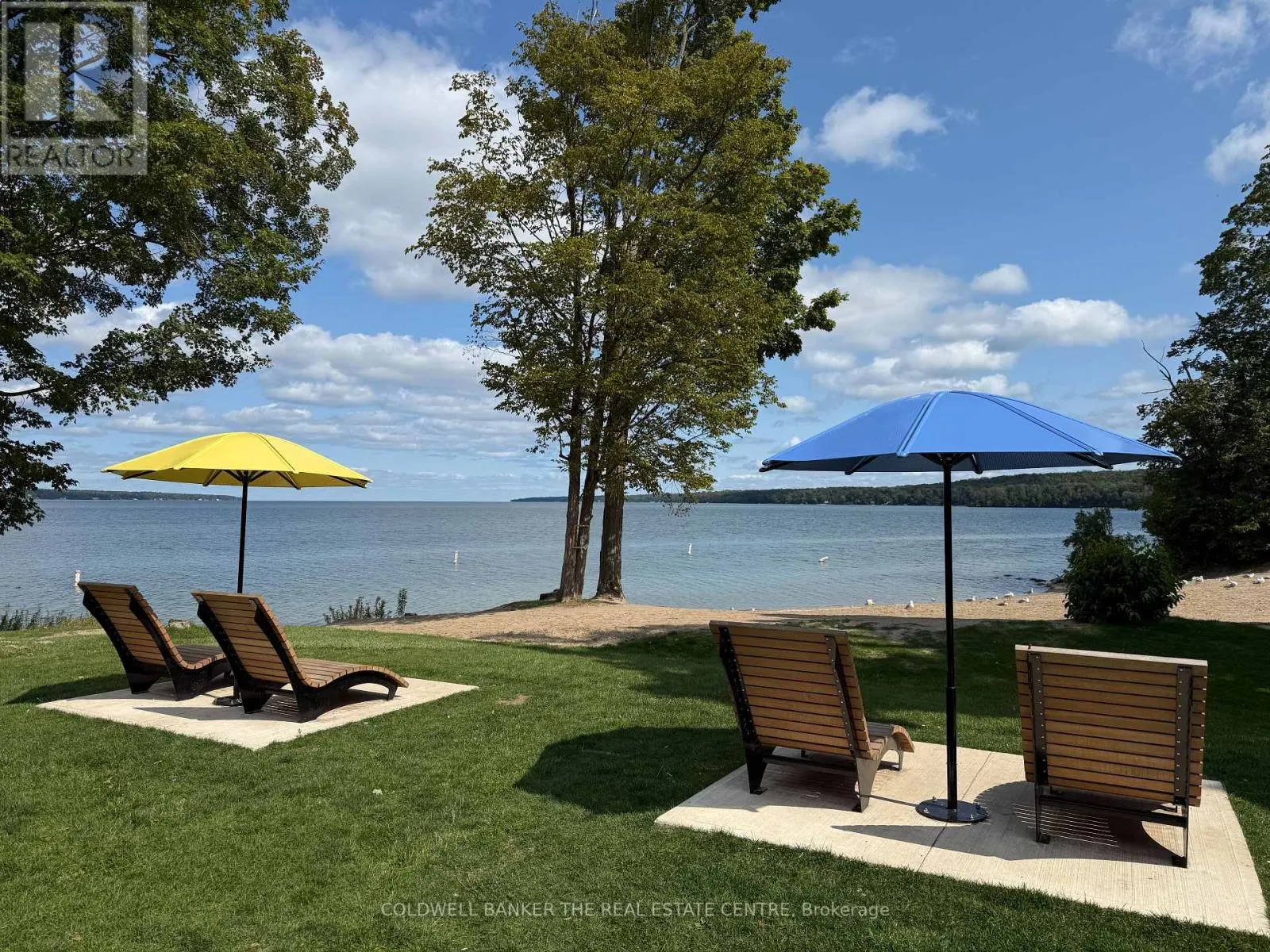 376 TOLLENDAL MILL ROAD