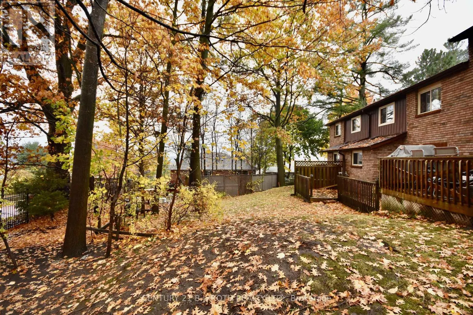 11 PHEASANT TRAIL