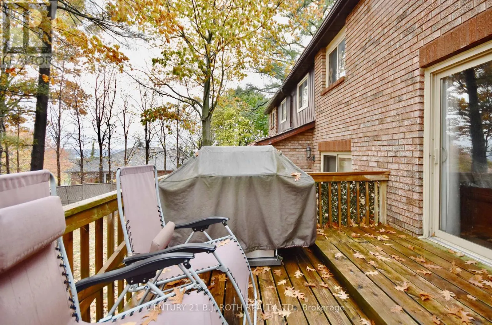 11 PHEASANT TRAIL