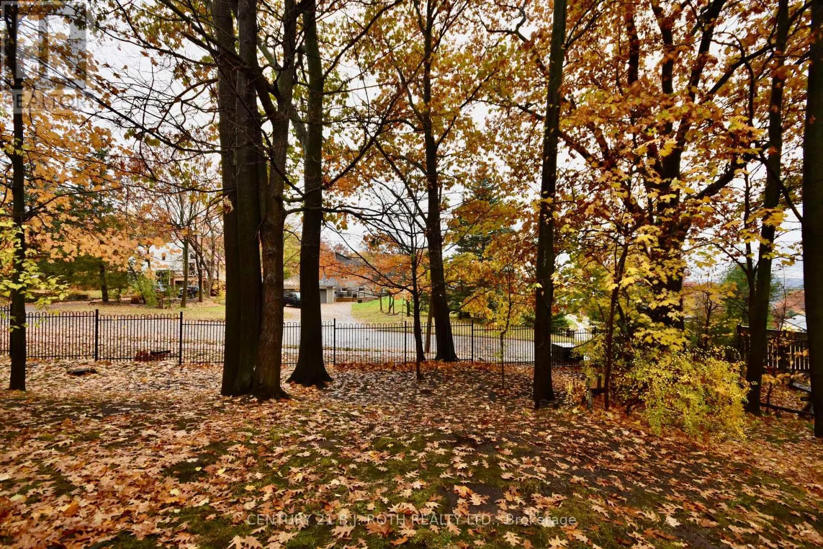 11 PHEASANT TRAIL