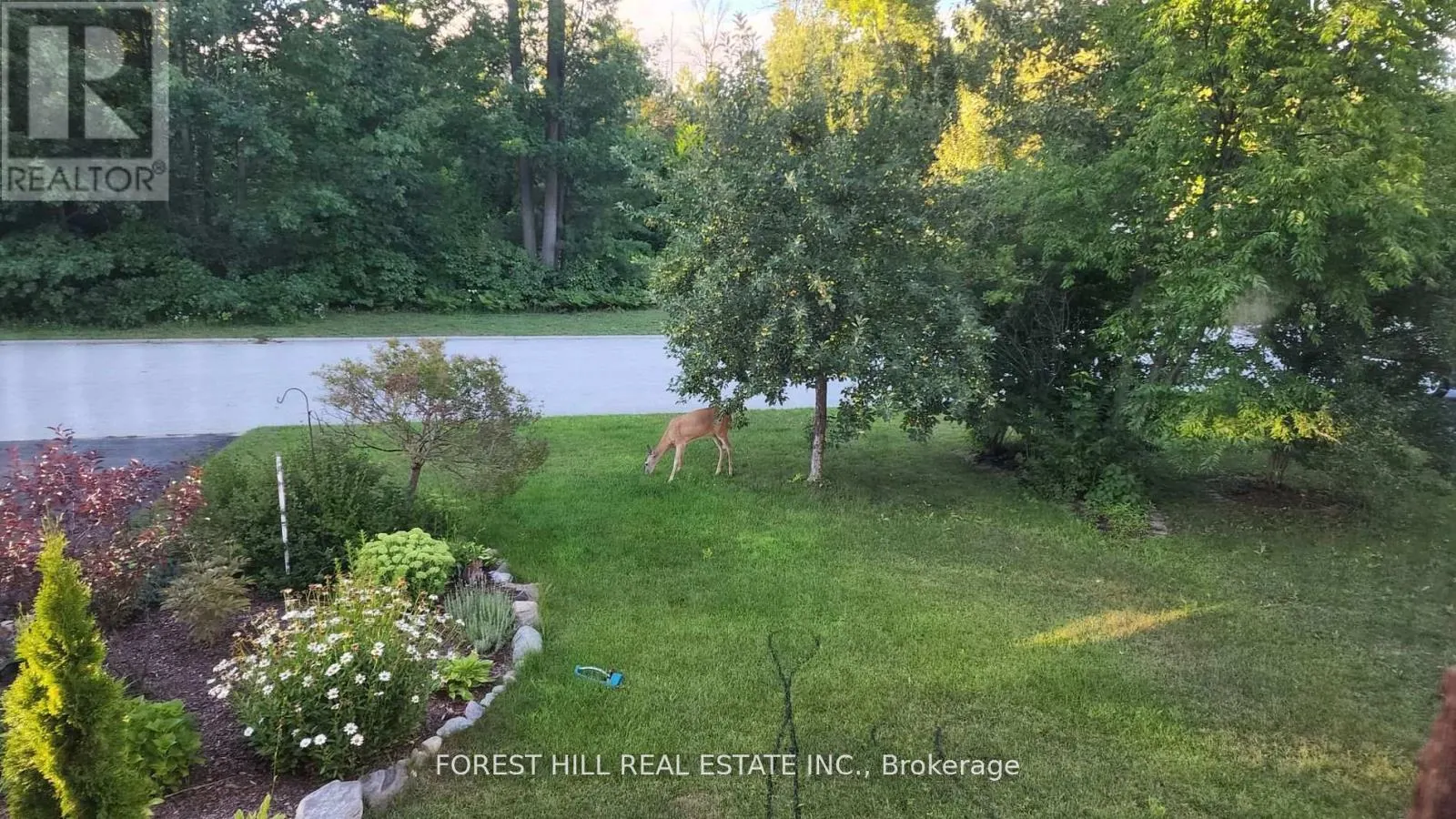 7 TAMARACK WAY