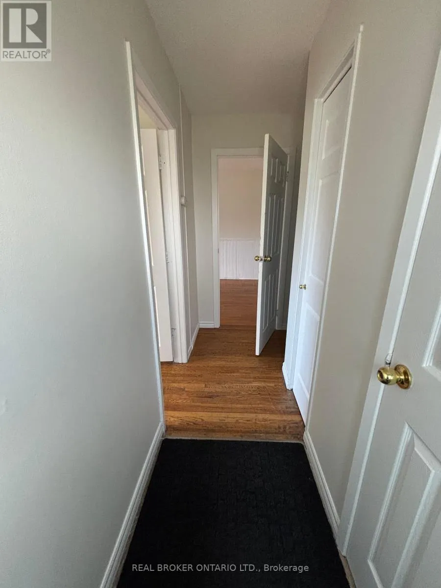 LOWER - 56 BERNICK DRIVE