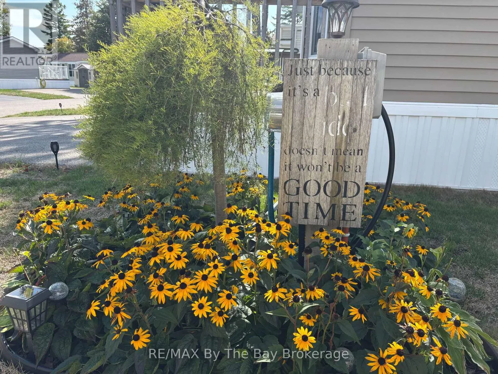 10 WHITE PINES TRAIL
