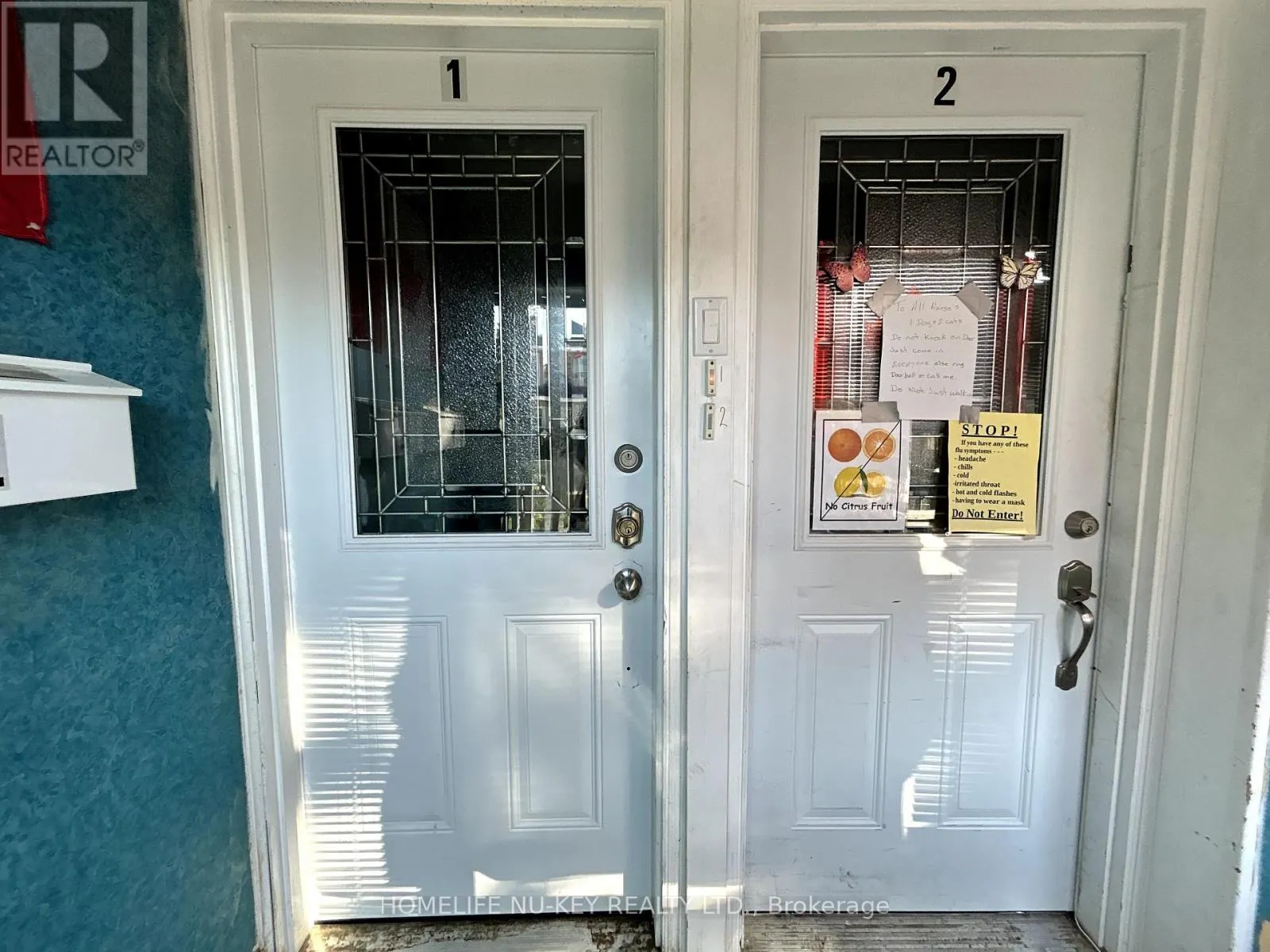 246 MARY STREET