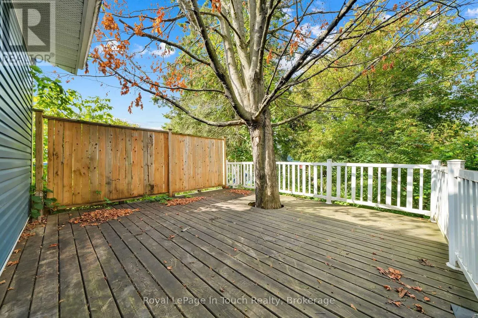 10 LEONARD AVENUE