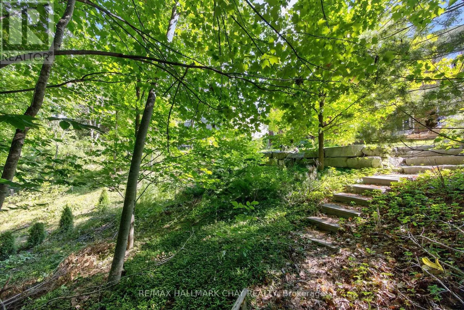 32 WILDWOOD TRAIL