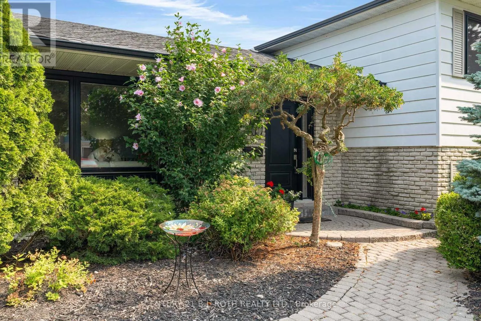 50 BELCOURT AVENUE