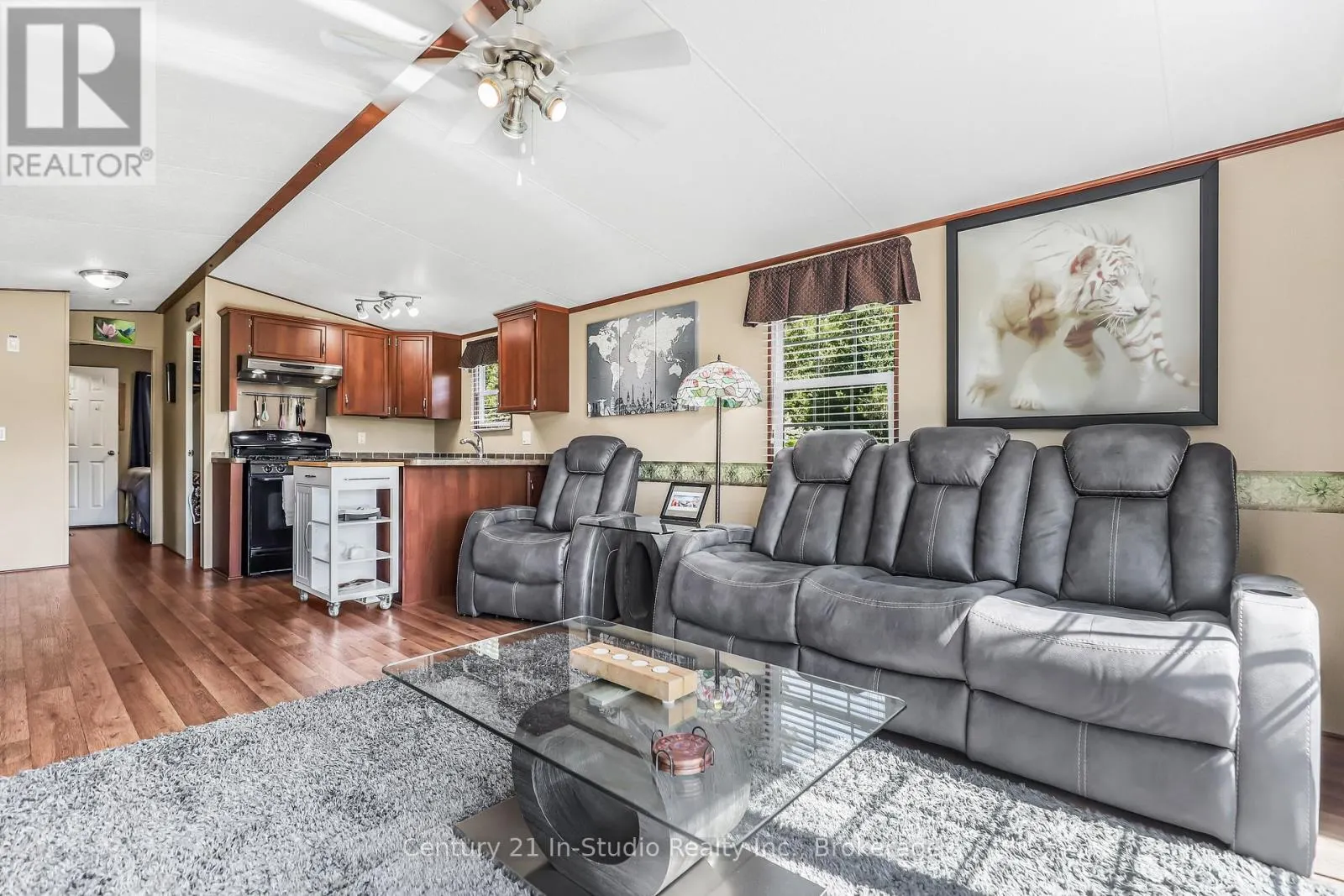 19 WHITE PINES TRAIL