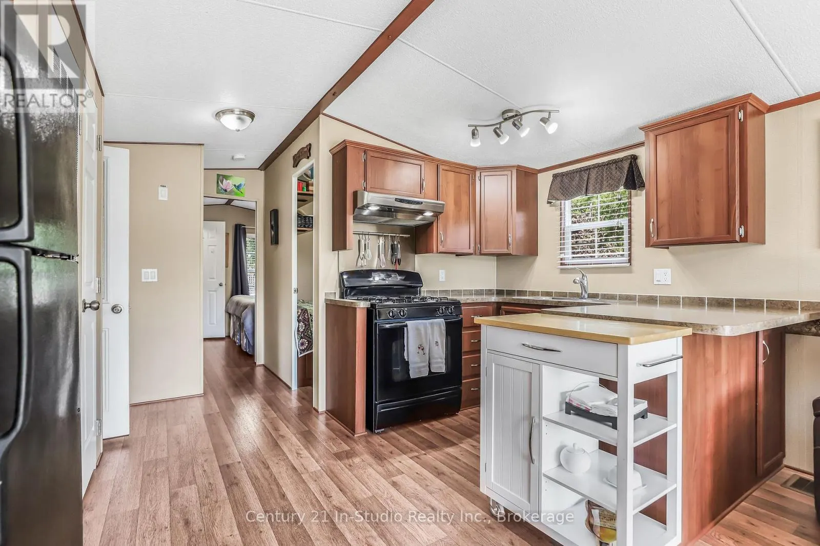 19 WHITE PINES TRAIL