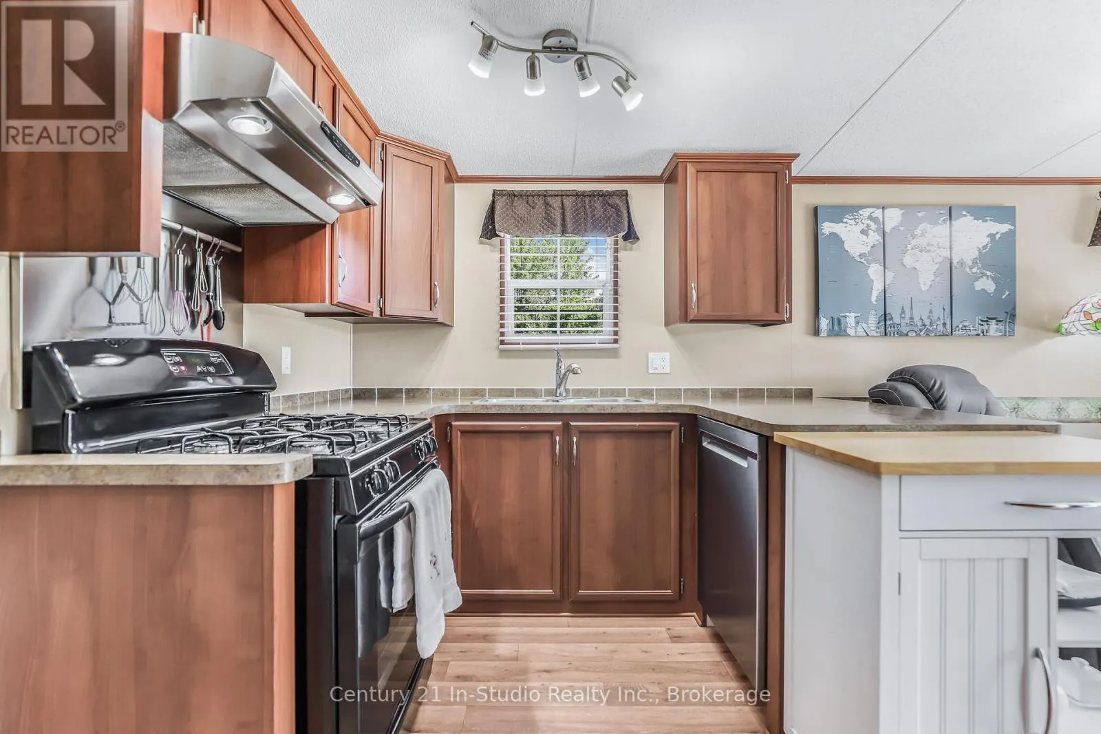 19 WHITE PINES TRAIL