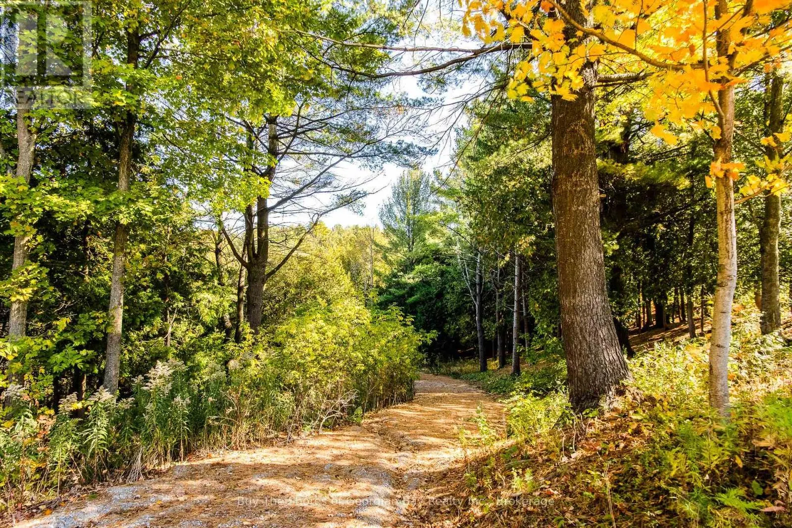 399 DAWSON'S SIDE ROAD