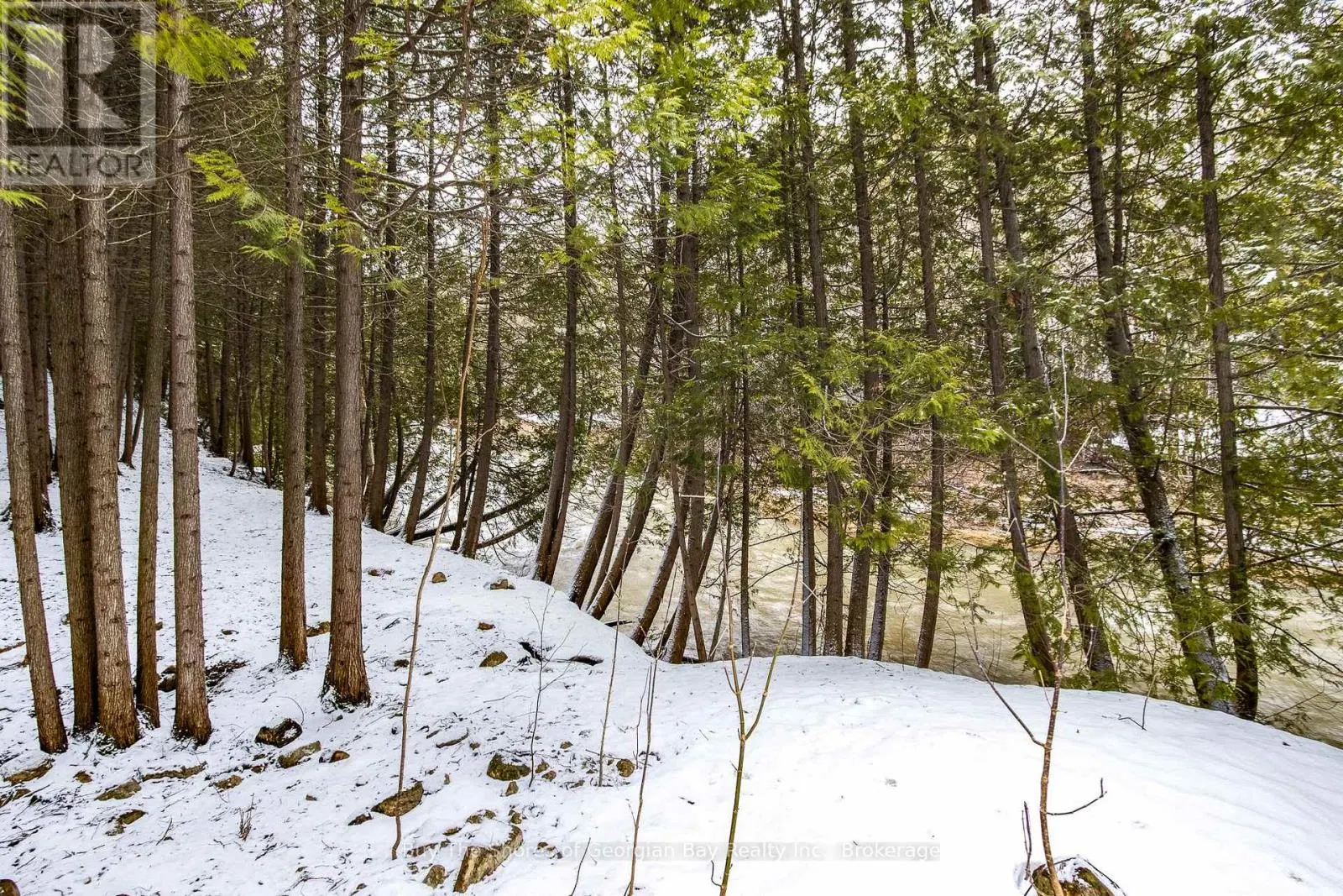399 DAWSON'S SIDE ROAD
